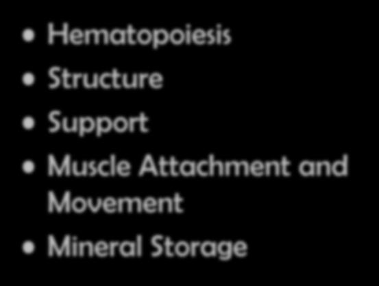 The Basic Functions of the Skeletal System Hematopoiesis
