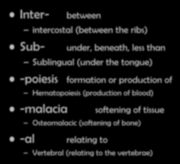 Vocabulary- word parts Inter- between intercostal (between the ribs) Sub- under, beneath, less than Sublingual (under the tongue) -poiesis formation or