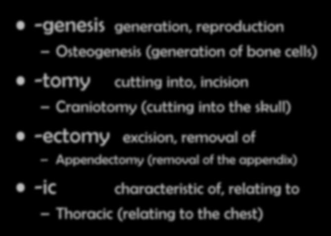 Vocabulary- word parts -genesis generation, reproduction Osteogenesis (generation of bone cells) -tomy cutting into, incision Craniotomy (cutting
