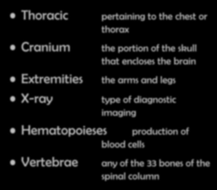 Vocabulary Thoracic Cranium Extremities X-ray Hematopoieses Vertebrae pertaining to the chest or thorax the portion of the skull