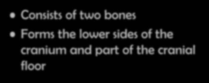 Temporal Bones Consists of two bones Forms the