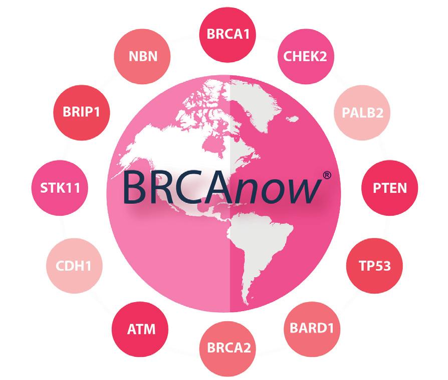 This means that having only one copy of a BRCA1/2 mutation can increase a person s chance of developing certain cancers such as breast and ovarian.