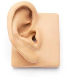 Anthropometric Pinna and Ear Canal Standard Pinna Cylindrical or conical ear canal Developed for hearing aids Anthropometric Pinna Based on 260 3D scans of human ear canals Includes