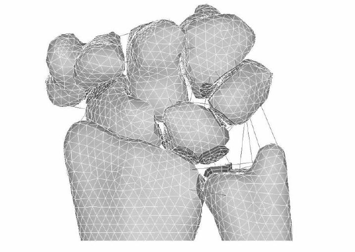 order to prevent the model from collapsing, each carpal bone was restricted to motion in the direction of the applied load.
