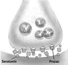 Antidepressant Drugs Antidepressant drugs like Prozac, Zoloft, and Paxil are Selective Serotonin Reuptake Inhibitors (SSRIs)