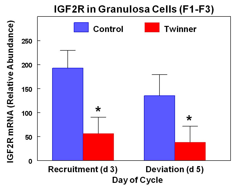 IGF2Rc mrna is decreased in Granulosa cells of Twinner cattle