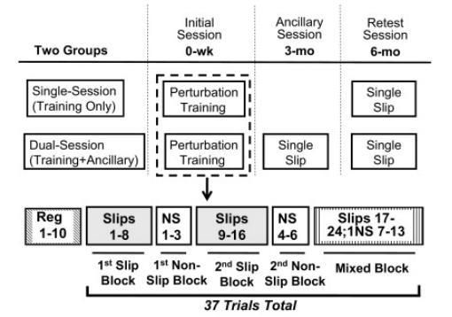 Reactive stepping balance training Induced perturbation with a forward
