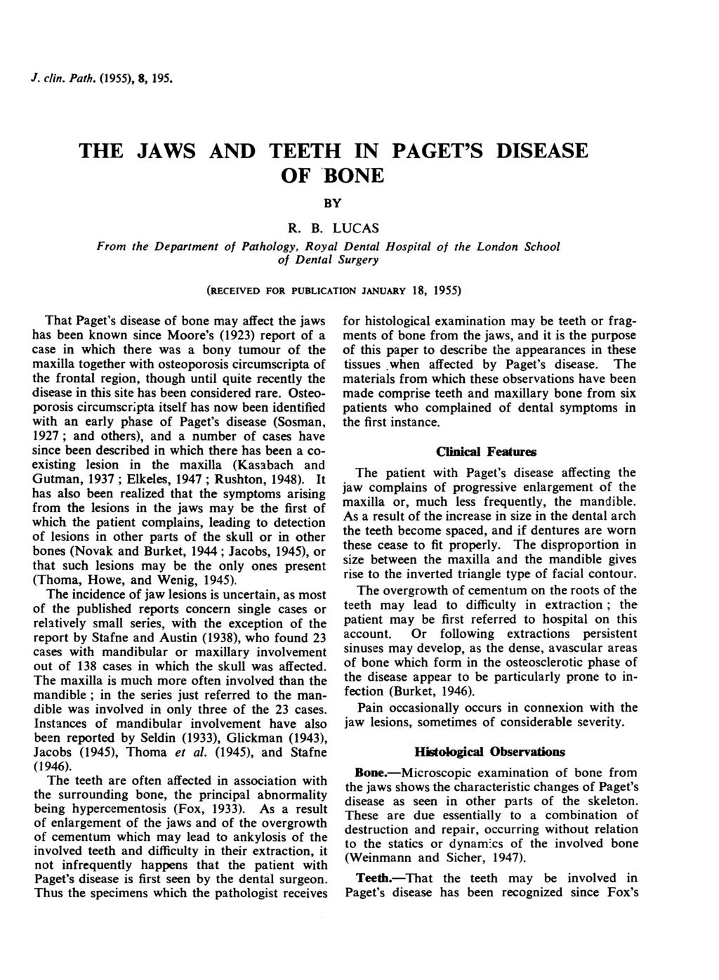 J. clin. Path. (1955), 8, 195. THE JAWS AND TEETH IN PAGET'S DISEASE OF BO