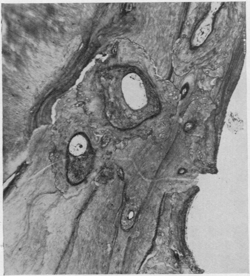 FIG. 12.-Field from Fig.