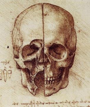 View of a Skull, 1489 by Leonardo Da