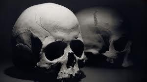 cranium 22 bones