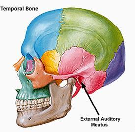 Tympanic part of the temporal bone just below the origin of the zygomatic process External acoustic