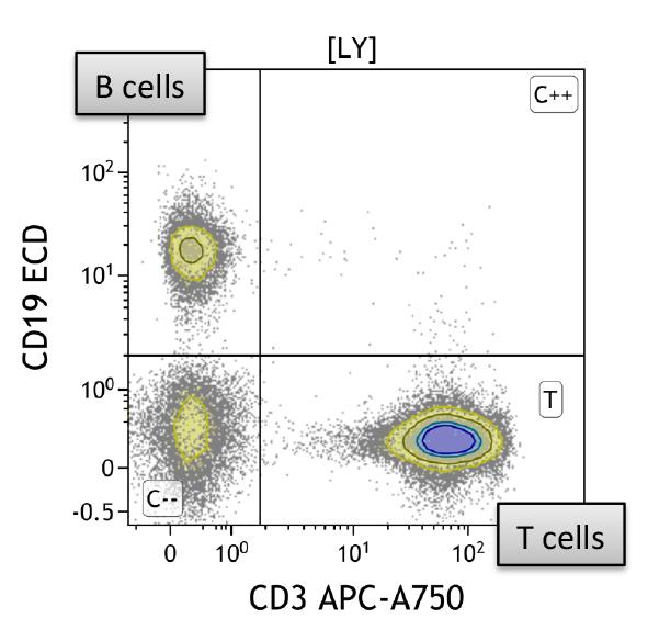The Phenotyping Basic Tube delineates principal lymphocyte subsets as well as
