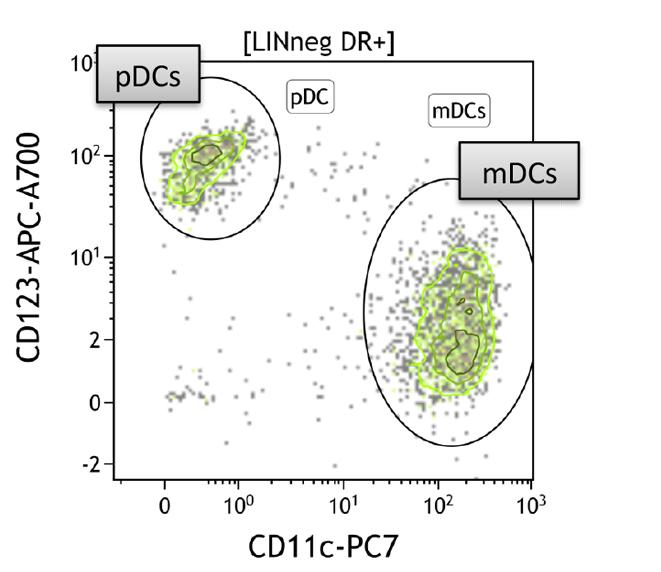 The Dendritic Cells tube discriminates leukocytelineage positive cells and identifies plasmacytoid dendritic cells and 3 major subsets of myeloid dendritic cells.