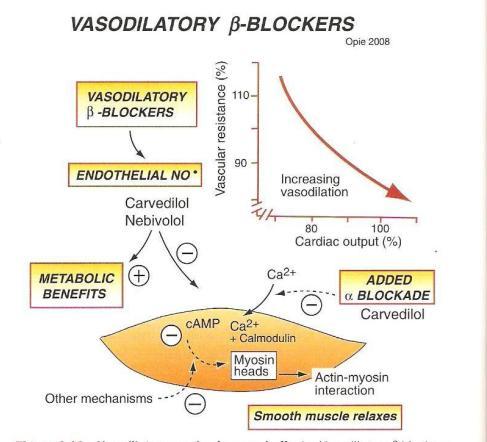 Mixed α- & β-blockers Carvedilol reduces mortality in patients with systolic HF treated with