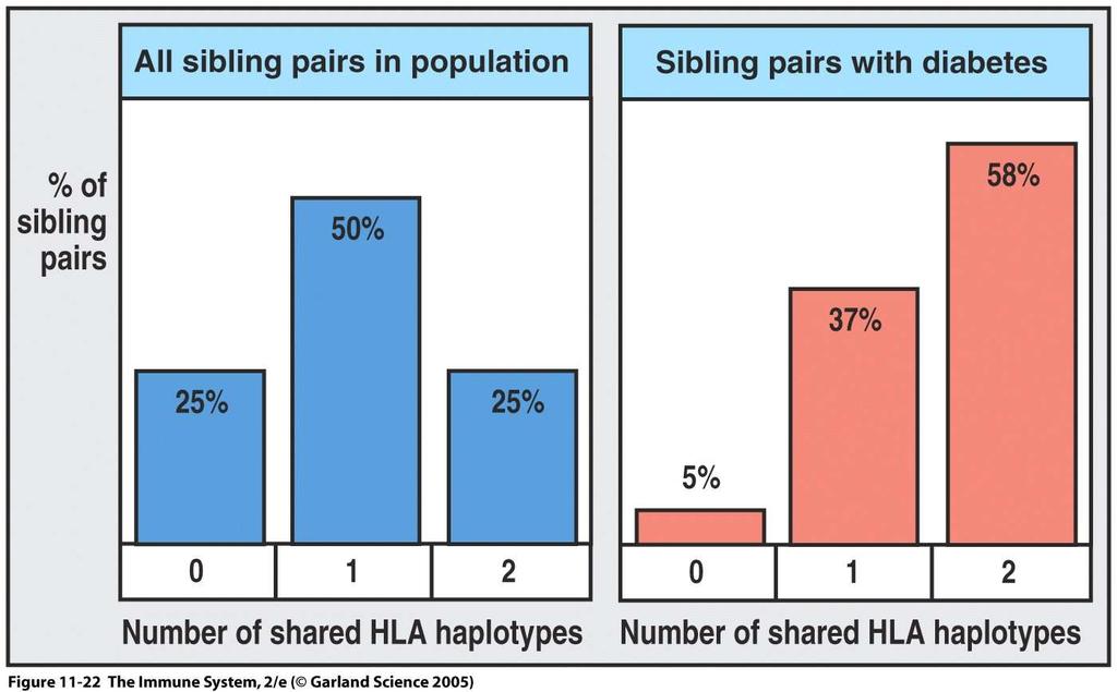 HLA is the dominant genetic factor