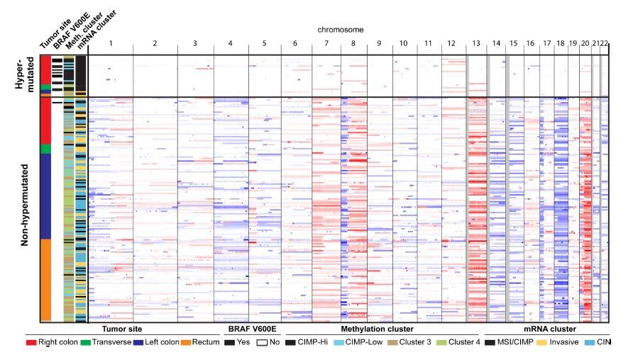 TCGA subclassification of CRC (RNA) Institut für Pathologie RNA-signatures associated with MSI/CIMP (more prevalent in hypermutated tumors) SCNA/CIN