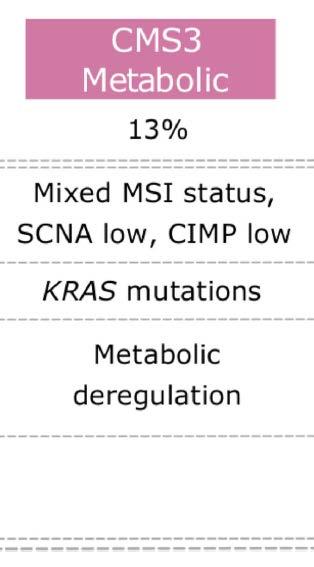 Clinical consequences of subtyping 75% RAS-mutations, often in combination with PIK3CA-mutations No association with gender, location, age Intermediate prognosis