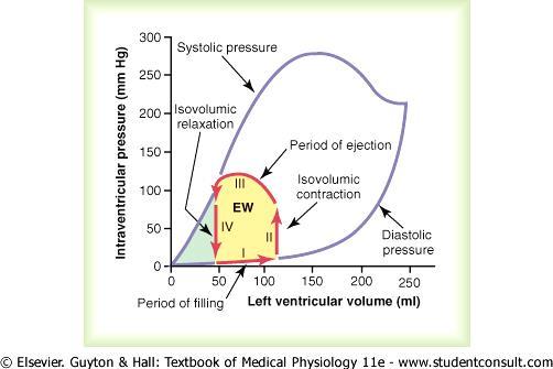 Volume-pressure curves for the left ventricle Graphical Analysis of Ventricular Pumping. Relationship between LV volume and intraventricular pressure during diastole and systole.