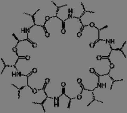 3 3. Valinomycin (shown below) is an antibiotic which is able to transport ions into and out of cells. Would you expect valinomycin is better at transporting anions, cations or both?