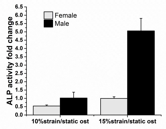 pathological strain was greater in male RAVICs compared to female to respective controls in static condition after 7 days in osteogenic media (Figure 5.2).