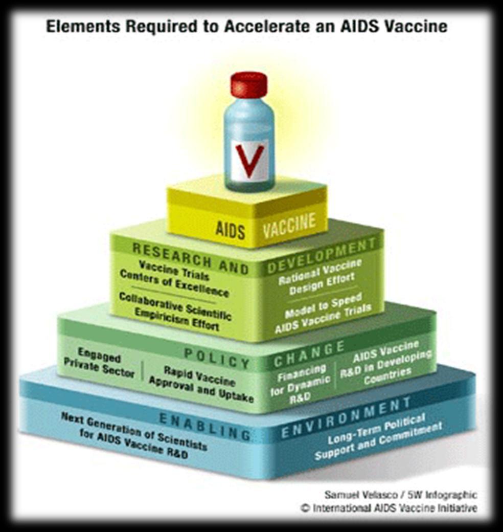 STAGES OF VACCINE DEVELOPMENT Vaccine development proceeds through discovery, process engineering, toxicology and animal