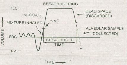 Time course of O2 transfer by diffusion into pulmonary