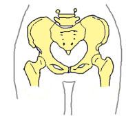 Developmental Dysplasia of the Hip Developmental Dysplasia of the Hip (DDH) is a congenital (present at birth) condition.