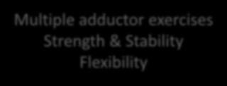 exercises Strength & Stability Flexibility PROM & adduction Strength 75%