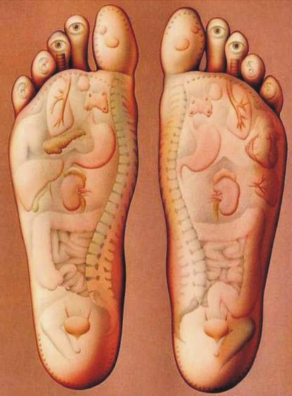 12 Most Frequently Asked Questions in Reflexology FAQ 1/12 How is Reflexology different from Acupressure?