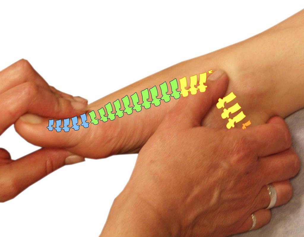 FAQ 9/12 If Reflexology is so effective, why is it not popular enough? Answer: Reflexology is, indeed, a very simple and effective therapy.