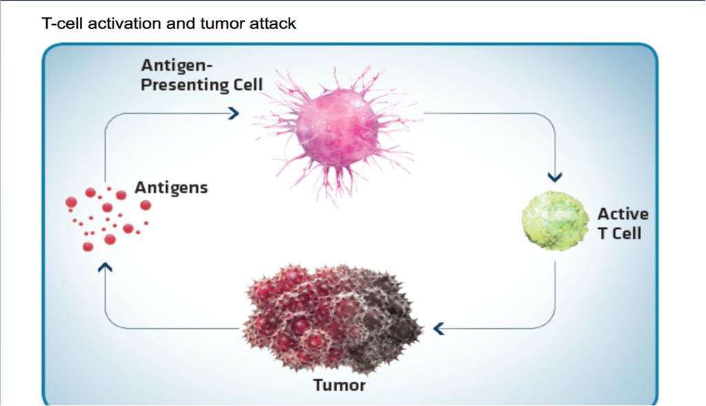 Desirable Immune Function Chemo/Radiation leads to cell death which releases antigens PD-1 and PD-L1 = Cloaking PD-1 is a receptor on a T cell PD-L1 is a ligand (or connector) for PD-1 on cells;