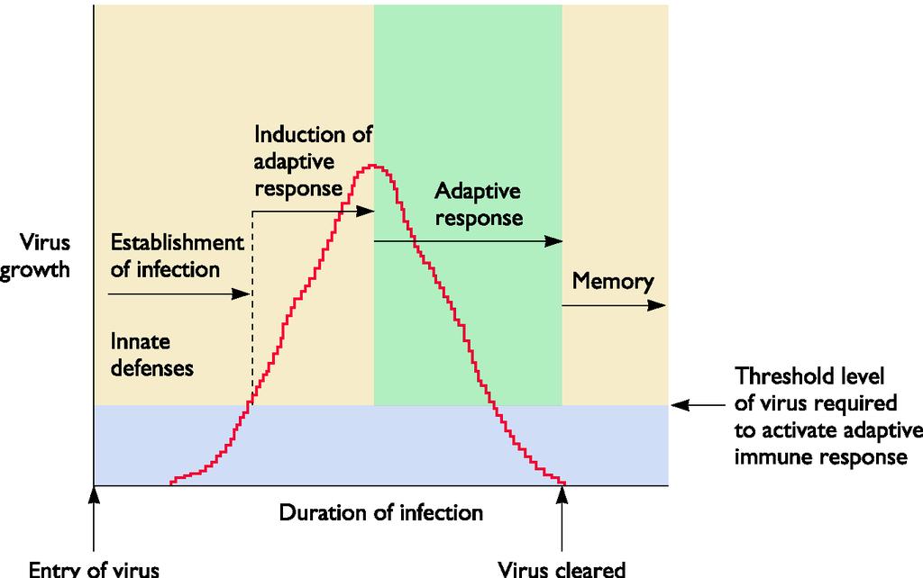 Acute Infections