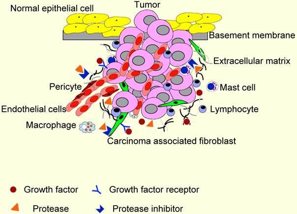 Figure 1.6: Figure showing the different components of the tumor microenvironment. (Reprinted with permission from Koontongkaew et al.
