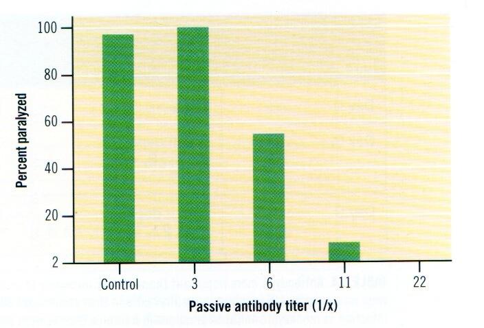 Passive antibody protects