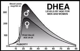DHEA, however, can be introduced and utilized by the body. DHEA can be introduced orally, vaginally or through topical application around the vulva.