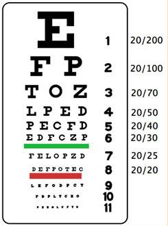 2. Pupils and Ocular movements 3.