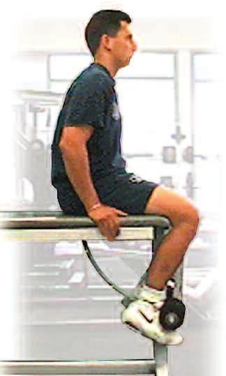 Leg Extension Quadriceps CPAT Events: Stair Climb, Hose Pull, Ladder Raise, Forcible Entry, Search, Rescue Pick appropriate weight to overload above muscles but not so heavy as to cause injury or