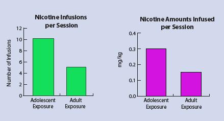 Rats exposed to nicotine as adolescents self-administer more nicotine