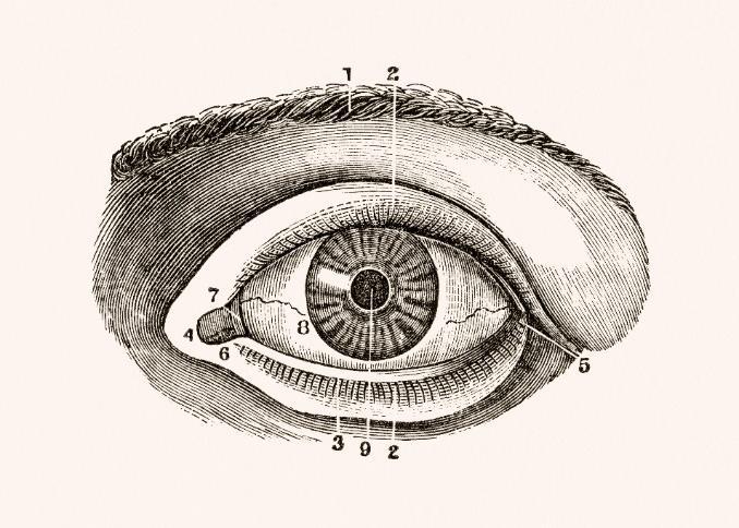 Ocular Manifestations: Summary Serologic tests + signs/symptoms POSSIBLE Serologic tests + signs/symptoms +