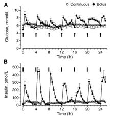 J Nutr 211;141;2152  than continuous feeding in neonatal pigs 35 Protein Synthetic rate (%/day) 45 4