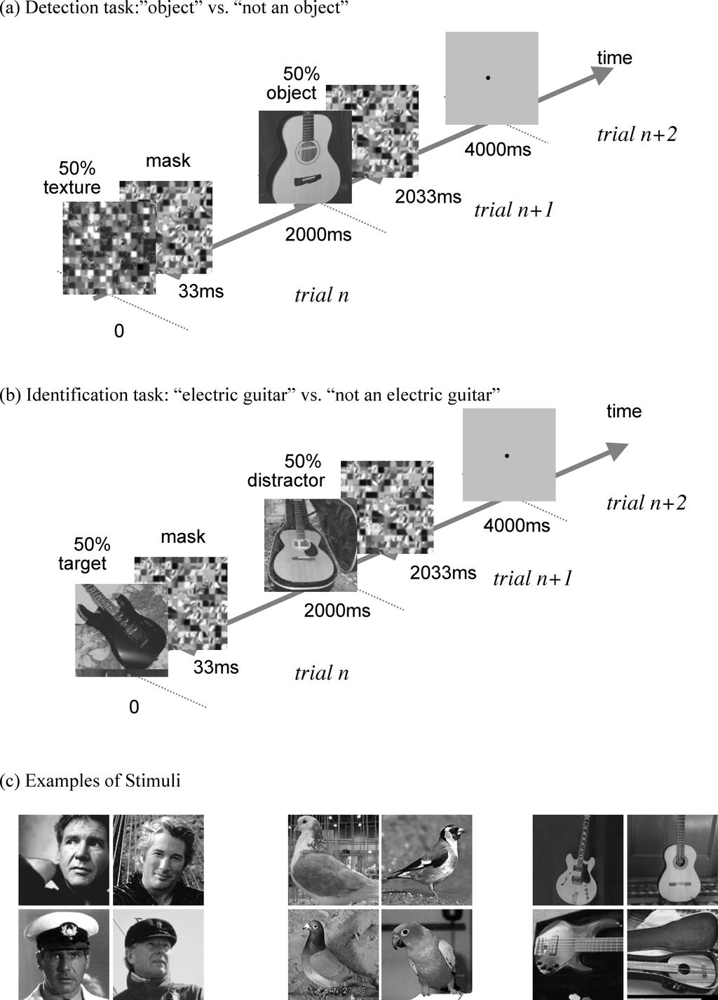 Figure 1: Experimental design (a) Detection task: in each trial (of duration 2s) an image was presented briefly and then masked.