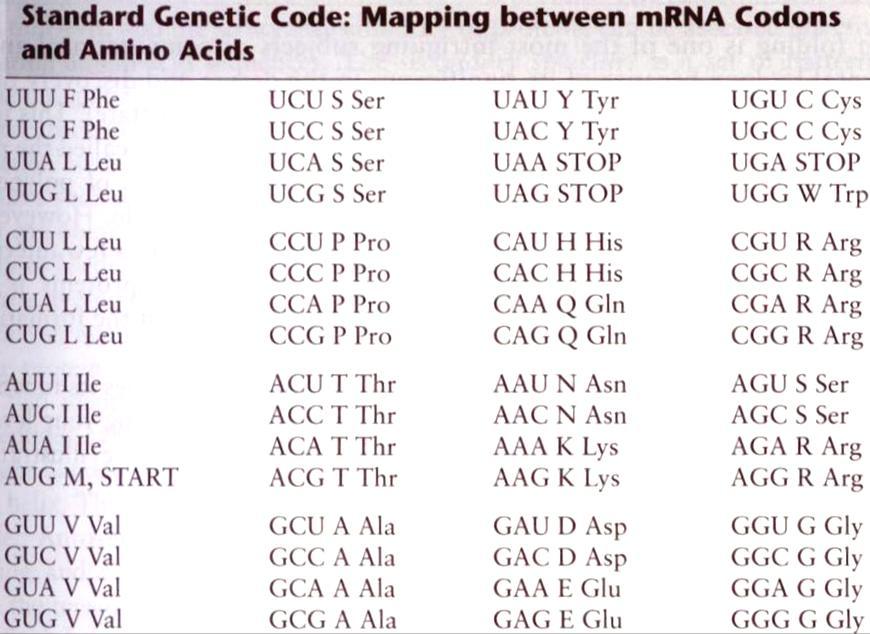 The Genetic Code mrna consists of a linear sequence of such 3-letter words called codons 4 3 =64 distinct codons Protein-coding genes all begin with a START codon and terminate with a STOP codon.