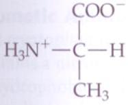 molecule Alanine (Ala, A): with a methyl group (CH 3 ) as its side chain 3~4