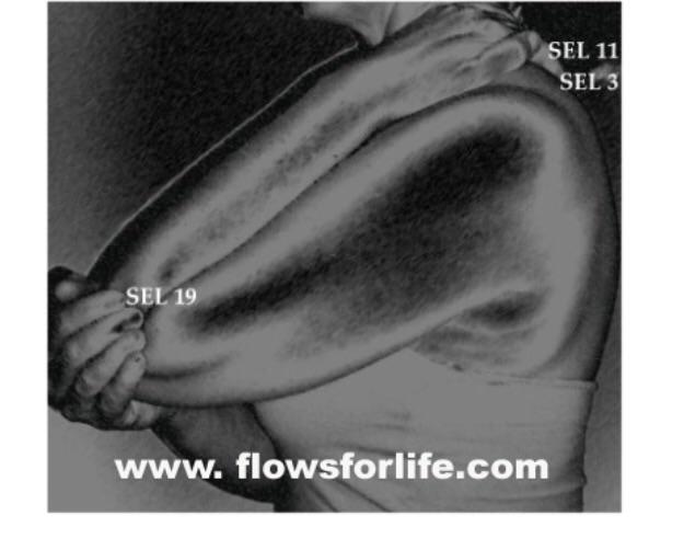 To Ease Stiff Neck/Shoulders To Lubricate Joints and more A stiff neck and shoulder pain are, well, a pain in the image 3 neck!
