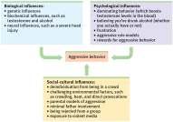 Biopsychosocial Understanding of Aggression Attraction The