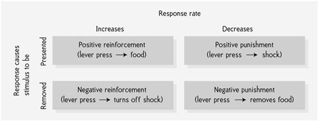 How do you get the response you want? Shaping Reinforce successive approximations Types of Consequences 1. Change in response rate Reinforcement: increase response Punishment: decrease response 2.