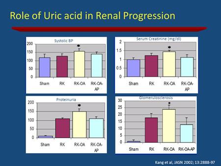 Slide 29 They showed that the rats with hyperuricemia have significantly higher