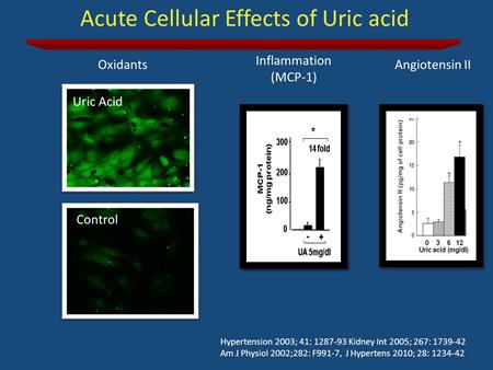 Also high uric acid increases renin expression, also