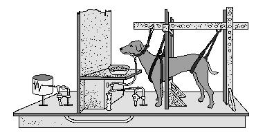 Summary of how Classical Conditioning works Below is a picture that shows how Pavlov